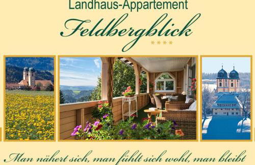Landhuis Appartement Feldberg Uitzicht - Foto 85