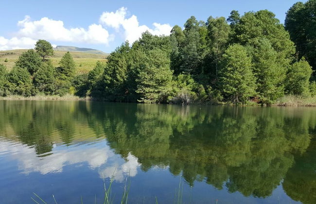 Bye Gums Cottage - Photo 27