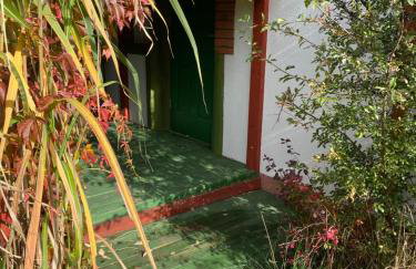 Na zielonej łące... - Foto 54