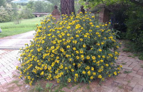 B&B Bosimano - Foto 20