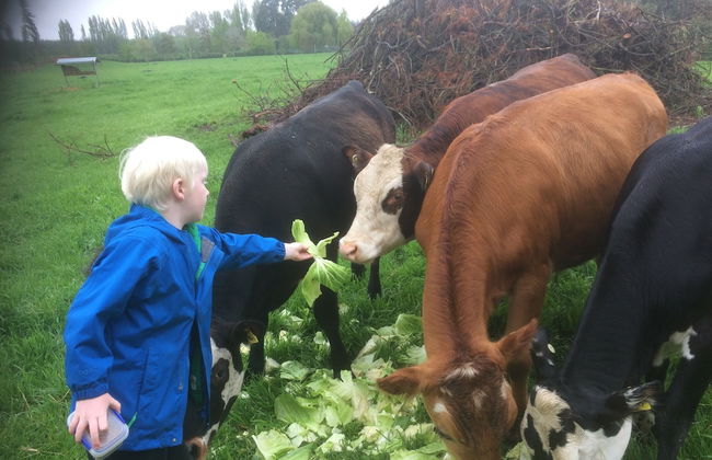 The Meadows Villa - Foto 27