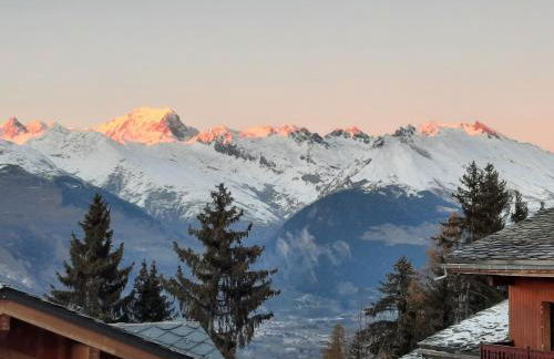 appart entierement renové les coches - la Plagne - Foto 1