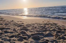 Apartament Leśny - Foto 24