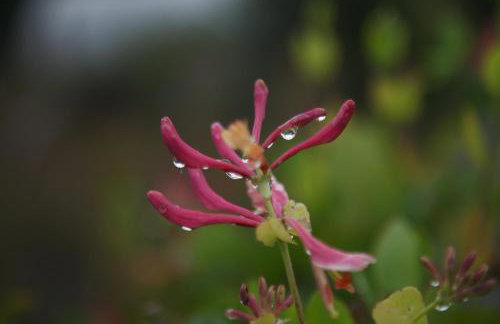Luxury Glamping Cabin with Outdoor Bath on Cornish Meadow - Photo 34