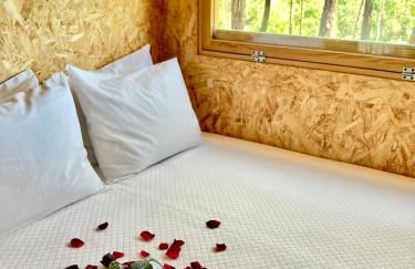 Relax Container - Foto 12