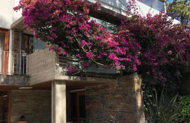 Bungalow B2 - Nature, Beach & River - Foto 53