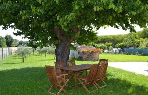 Il Poggetto 2 - Foto 9