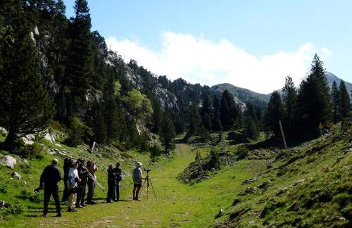 Metsola Apartamentos Rurales - Foto 39