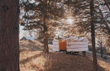 Cosy yurt at a nature retreat - Foto 45