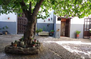casa rural la Venta de Agar Orgaz, Toledo 30 min Puy du fou - Foto 2