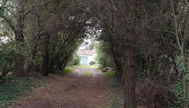 La Menounière - Maison Ile d'Oléron, 100m du bord de mer - Foto 3, Garden