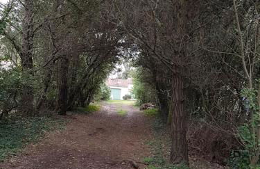 La Menounière - Maison Ile d'Oléron, 100m du bord de mer - Foto 3