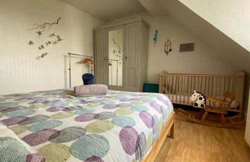 BookingAlsace - Maison Mittelharth Parking Jardin - Foto 34