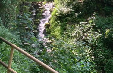 Dolcevita - Photo 65