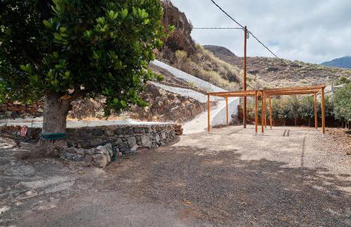 Finca Ecológica Quinta Los Tizones - Foto 50