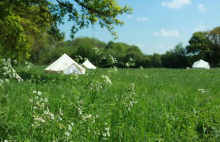 Luna caravane Vintage - Photo 30