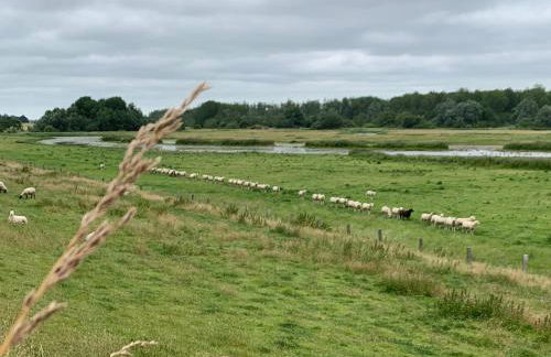 Ferienwohnung Suederbootfahrt - Ruheoase für Naturliebhaber in Katingsiel zwischen Tönning und St Peter Ording perfekt für Radtouren - Foto 17