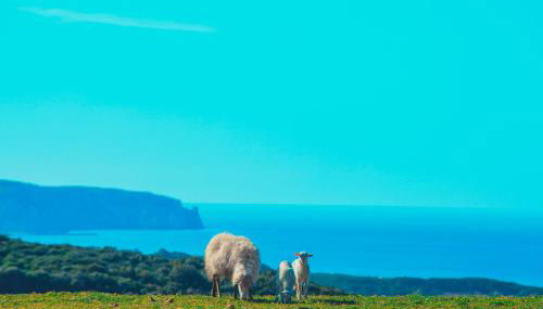 Agriturismo Il Ginepro - Foto 5