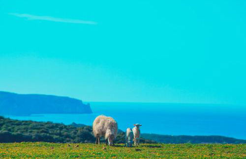 Agriturismo Il Ginepro - Foto 5