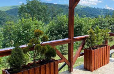 Pod Srebrzystym Świerkiem - Jacuzzi - Foto 32