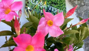 Casa Verde, Dongo, Lago di Como - Foto 2