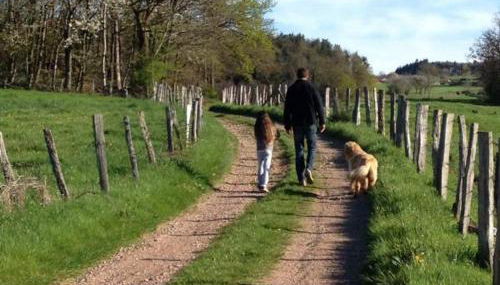 Gîte harmonieux 8 pers avec cheminée et animaux admis - FR-1-496-32 - Foto 3