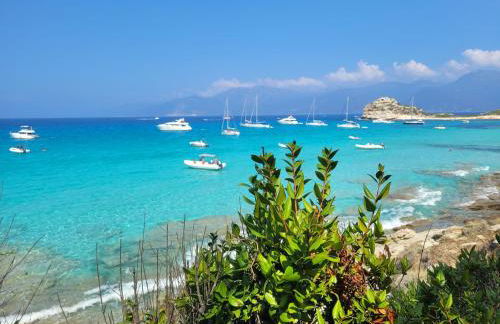 New Ô Cosy T2 - Bastia - Foto 31