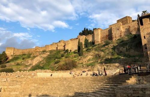 La Tierra Sur apartment Malaga Center - Photo 59