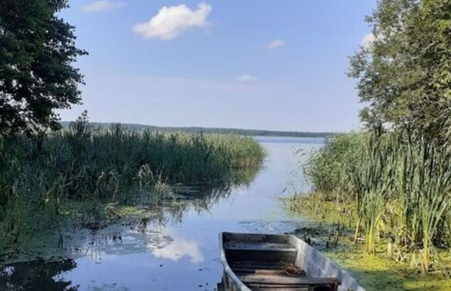 Holiday Home Landlust - Photo 15