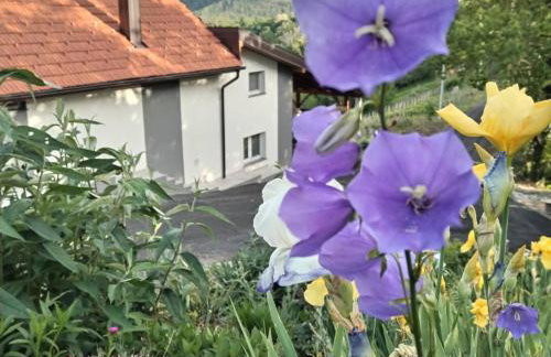 Holiday Home Martin - Foto 40