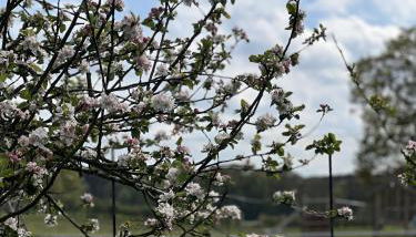 Plover House - Photo 2