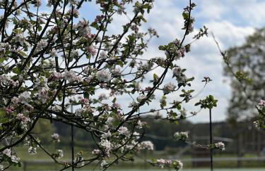 Plover House - Photo 2