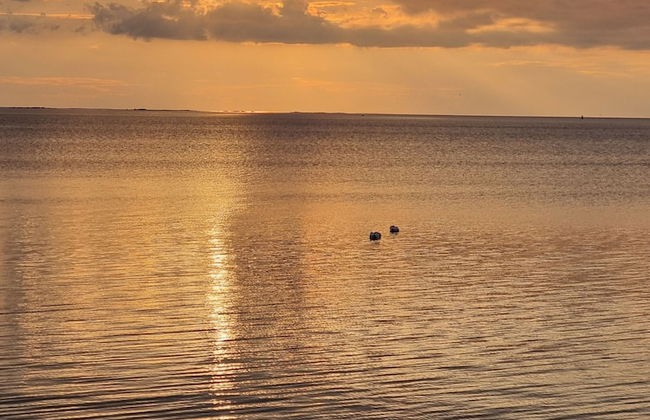 Epokgården - Photo 12