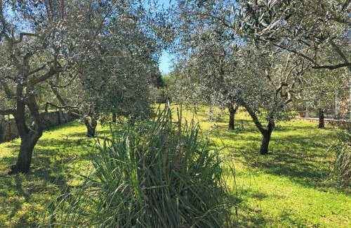 Two villas MaraVinka - Foto 8