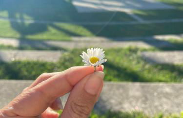 Peaceful Family Retreat In Aix-En-Provence - Foto 31