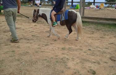 LA MAGNOLIA 2.0 - Foto 24