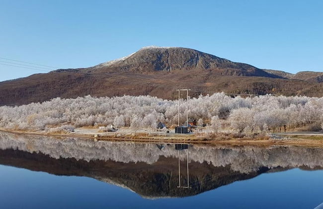 Elvestua House in Nature - Foto 29