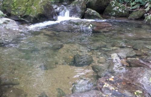Casa em penedo com cachoeira - Photo 41