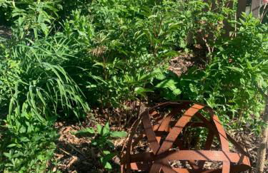 Reeser Schatzkästchen - Foto 21