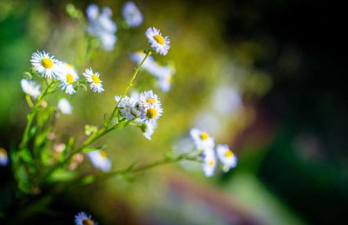 Apartamenty Wypoczynkowa 24 - 700m od Park Wodny Suntago Wręcza - Photo 34