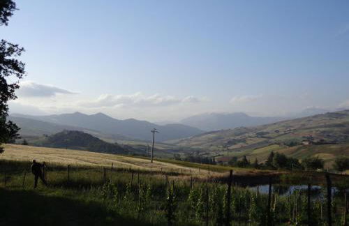 Agriturismo San Pietro - Foto 23