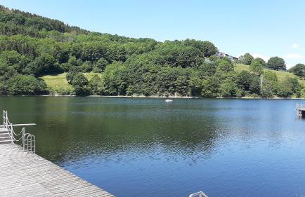 Ferienwohnungen Rurseeblick - Foto 69