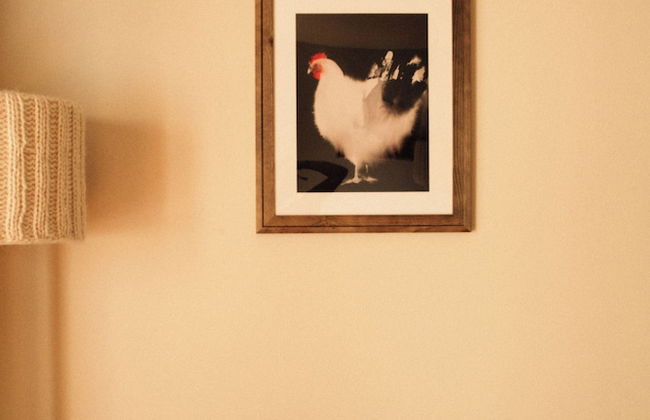 Tanafreida Apartments - Foto 26