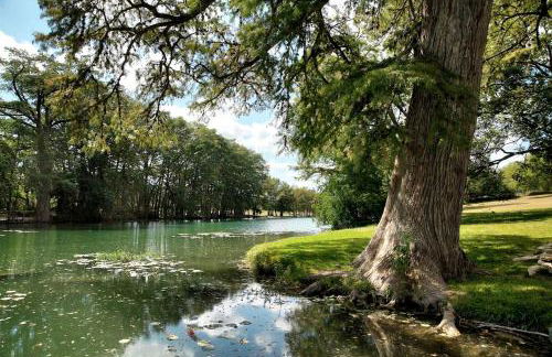 1800's Antique Log Cabin with Modern Amenities near Fredericksburg and Kerrville, Texas - Photo 14