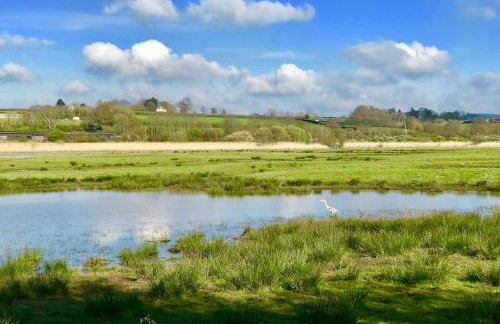 Stunning Georgian Town house with Open Fire, Piano & Games Room - Foto 33