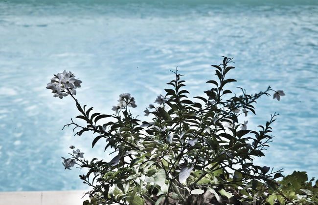 Montelucci Country Resort & Agriturismo di Charme - Foto 21