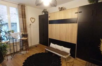 Agréable studio proche Paris et Porte de Versailles - Foto 1