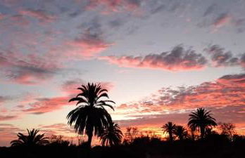 Apartamento El Almendro - Photo 19