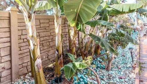 Cozy beach home walking distance from ocean - Foto 3