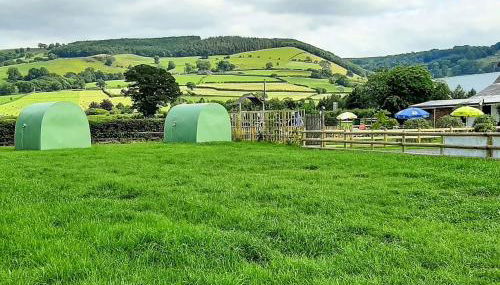 Green Dragon and Kitchen Pod - Sleeps 2 & Parking - Foto 2, Garden, Garden view